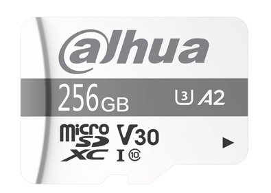 DHI-TF-P100/256G