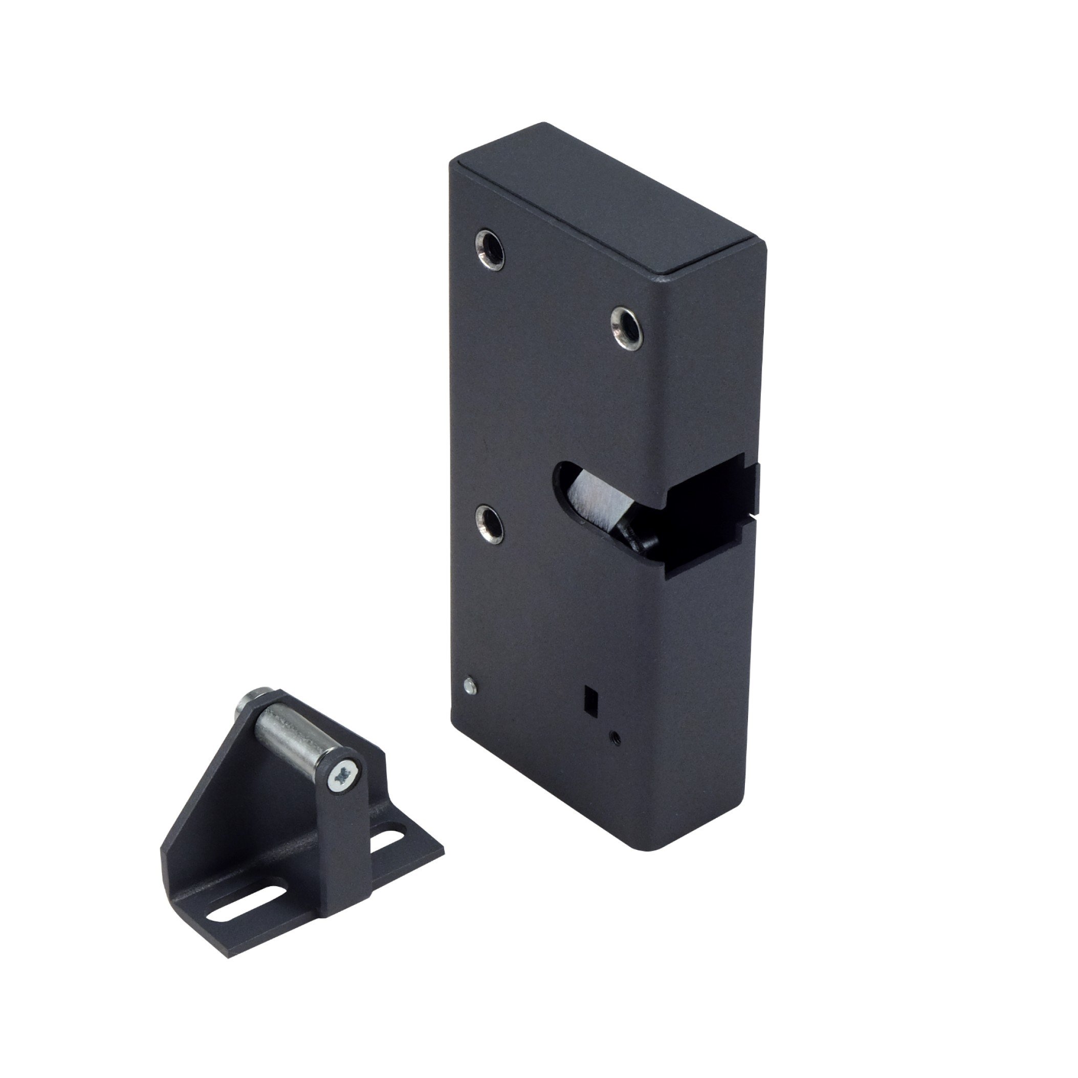 Promix-SM326.10.2-R graphite
