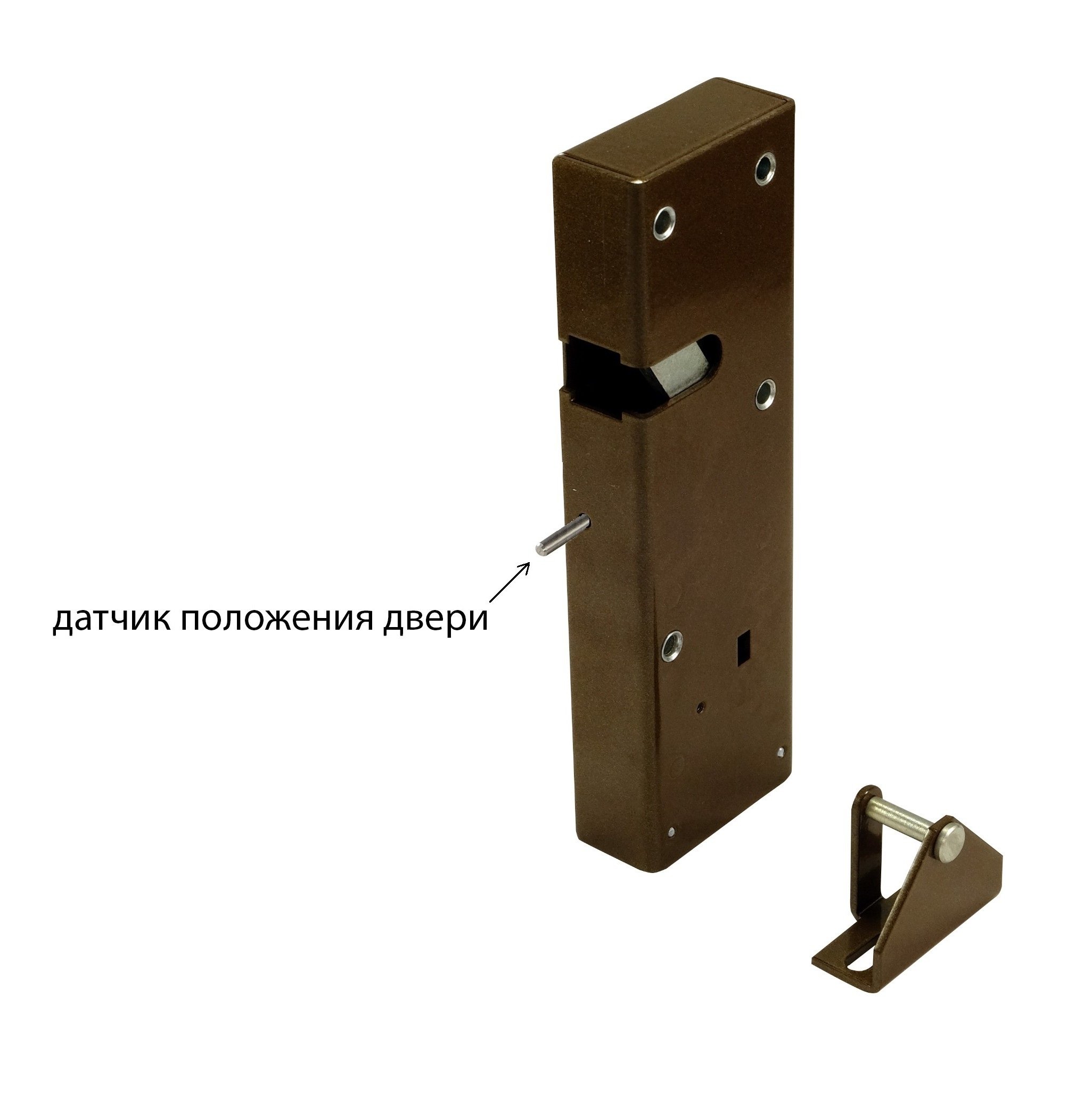 Promix-SM323.10.3-L brown