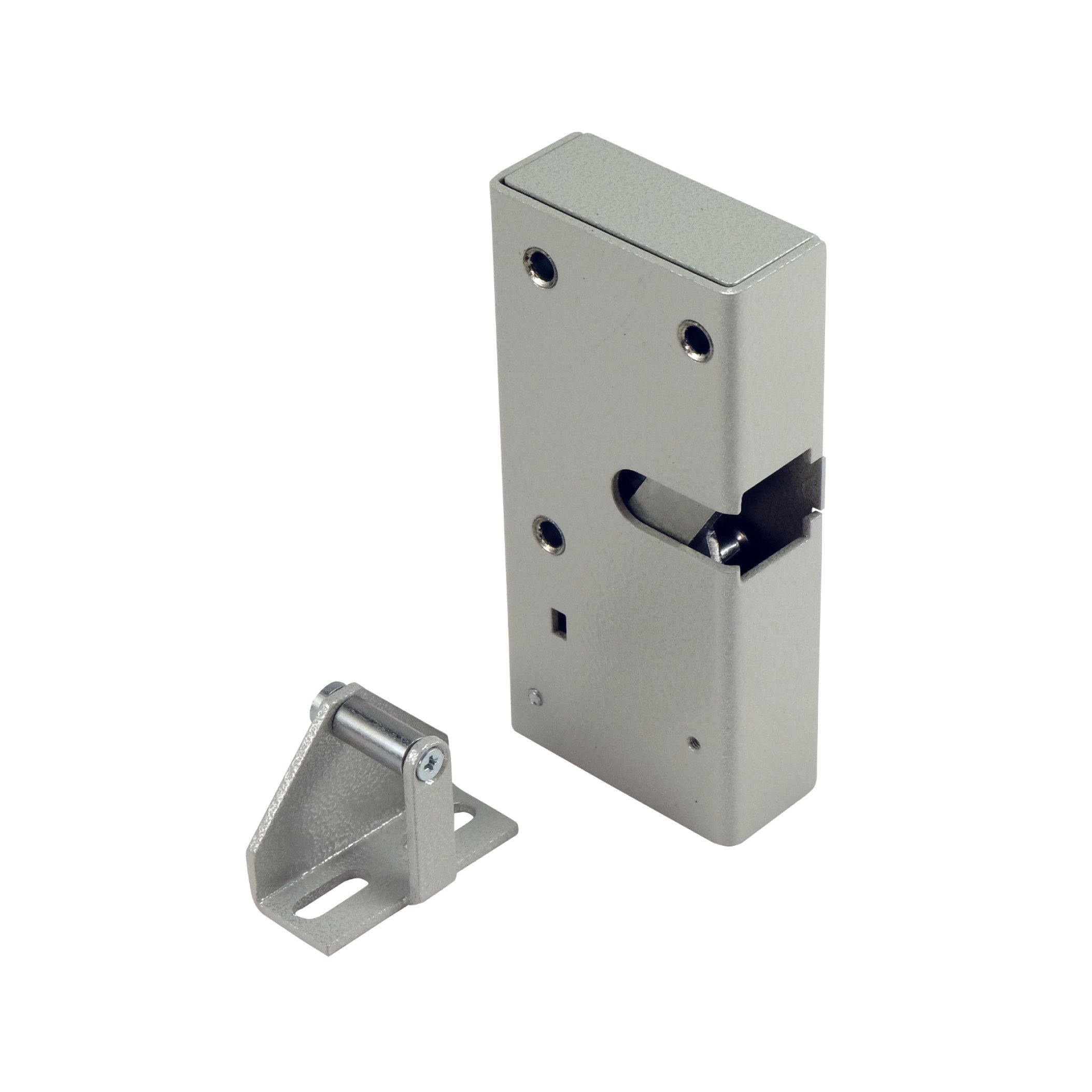 Promix-SM326.10.2-R silver