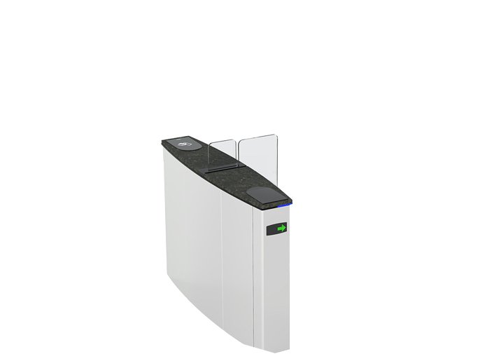 CAME SLIDING GATE SG 55 (001SG55MS)