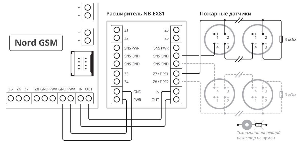 NB-EX81
