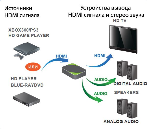 MMS-HHSC
