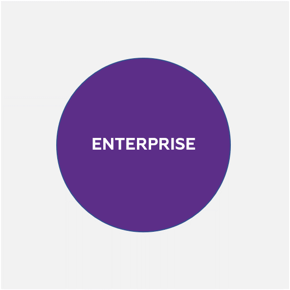 Macroscop Enterprise