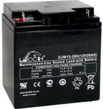 LEOCH DJW12-24H