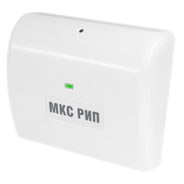 МКС РИП