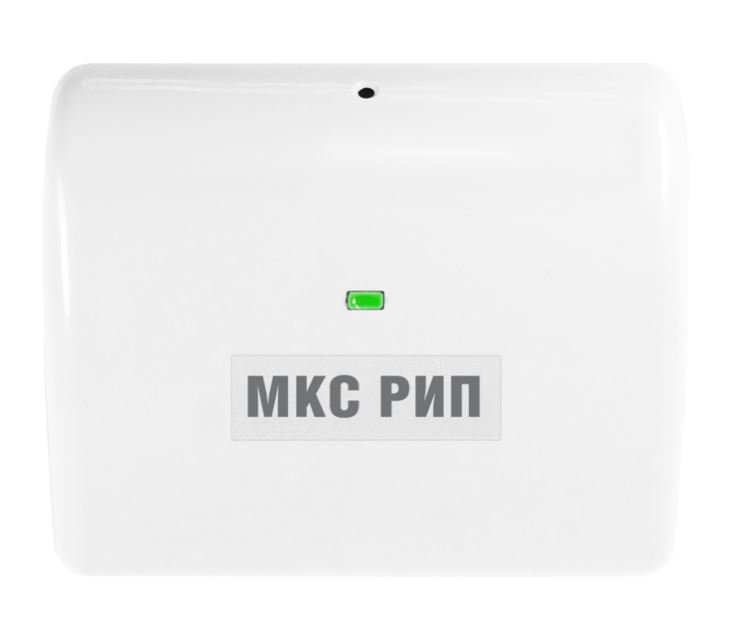 МКС РИП