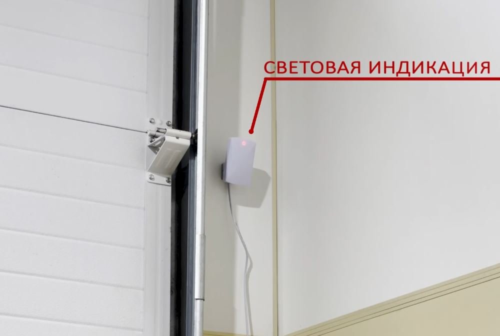 КОЛИБРИ-15(24)