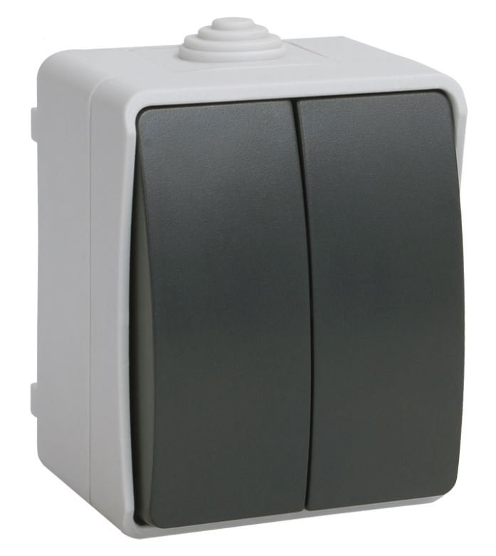 Выключатель 2-клавишный ВС20-2-0-ФСр открытой установки IP54 серый FORS (EVS20-K03-10-54-DC)