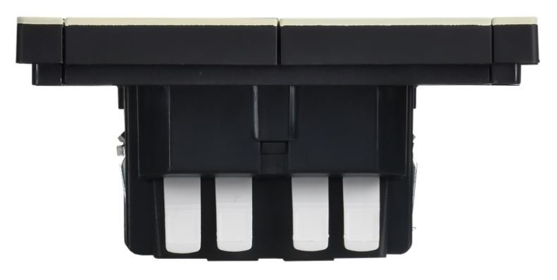 FORTE&PIANO Выключатель 2-клавишный проходной FP807M скрытой установки 10А металл слоновая кость (FP-V22-0-10-1-M-K41)