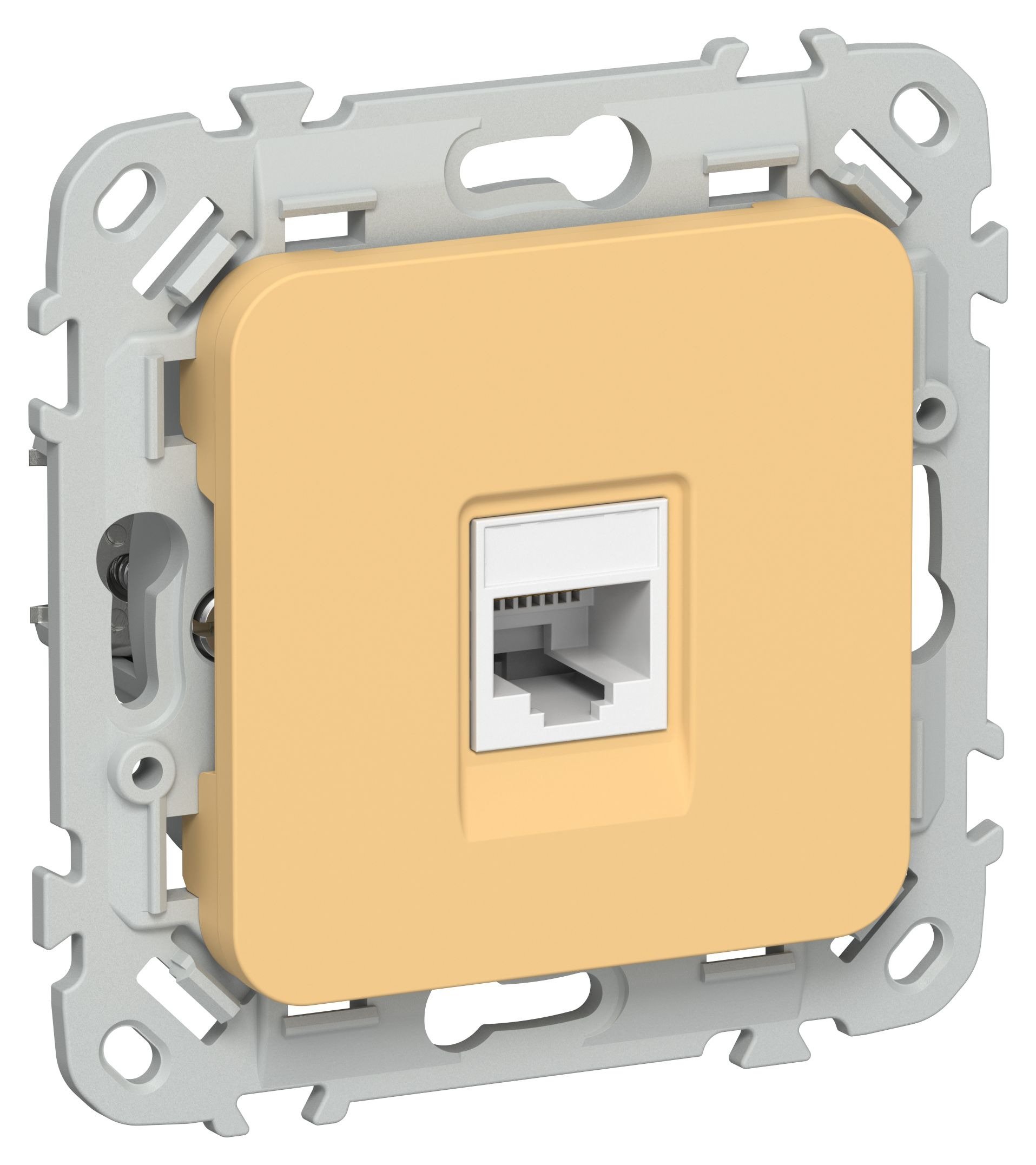 FLITE Розетка компьютерная RJ45 кат 5Е UTP РК5е-1-0-ФлЗ золотарник(FI-K12-1-K90)