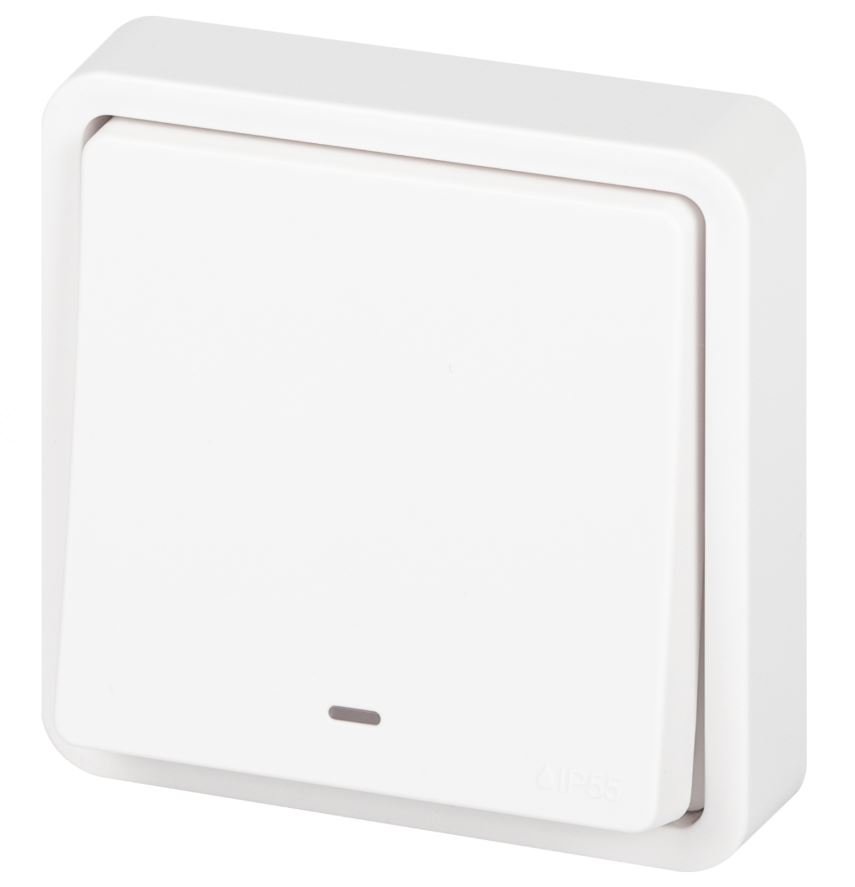 Выключатель 1-кл. СУ Эксперт IP55 11-1522-01 250В 10АХ белый ЭРА (Б0063279)