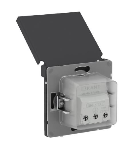 Розетка 2P+E KANT IP44 с защитными шторками с крышкой черный уголь (7012013)