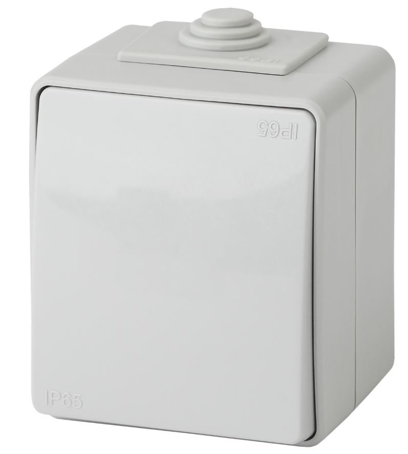 Переключатель 1-кл. ОУ Эксперт IP65 11-1603-03 250В 10АХ серый ЭРА (Б0035975)