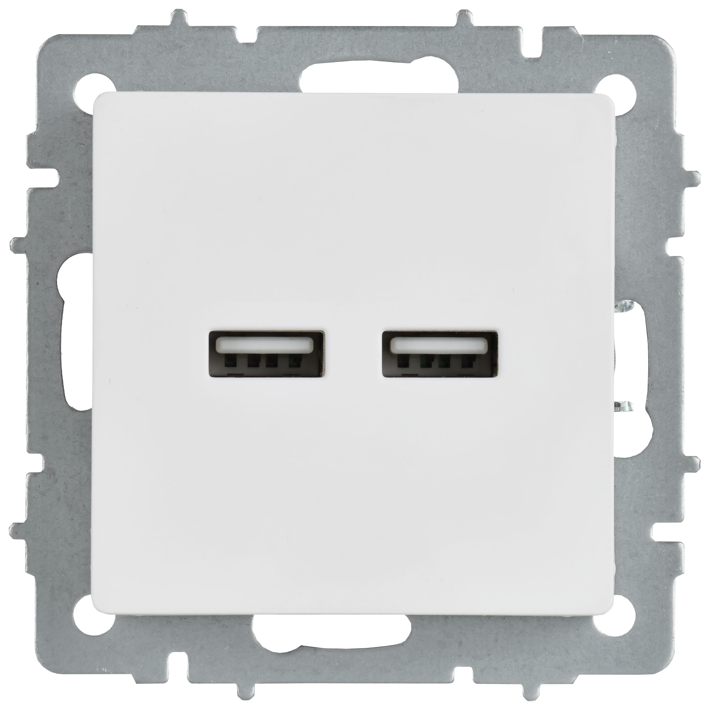 Розетка USB BRITE A+A 5В 3,1А РЮ10-1-БрАБ скрытой установки арктический белый (BR-U21-D31-K91)