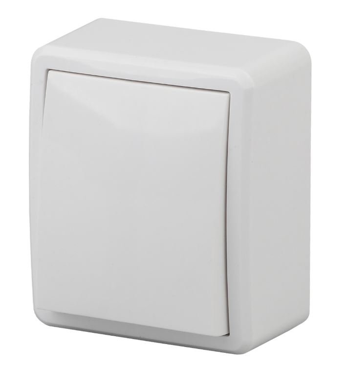 Переключатель 1-кл. ОУ Эксперт IP20 11-1203-01 250В 10АХ белый ЭРА (Б0020660)