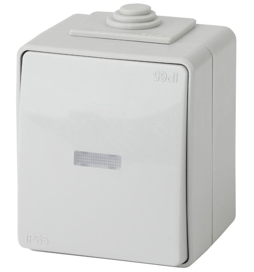 Выключатель 1-кл. ОУ Эксперт IP65 11-1602-03 250В 10АХ серый ЭРА (Б0035974)