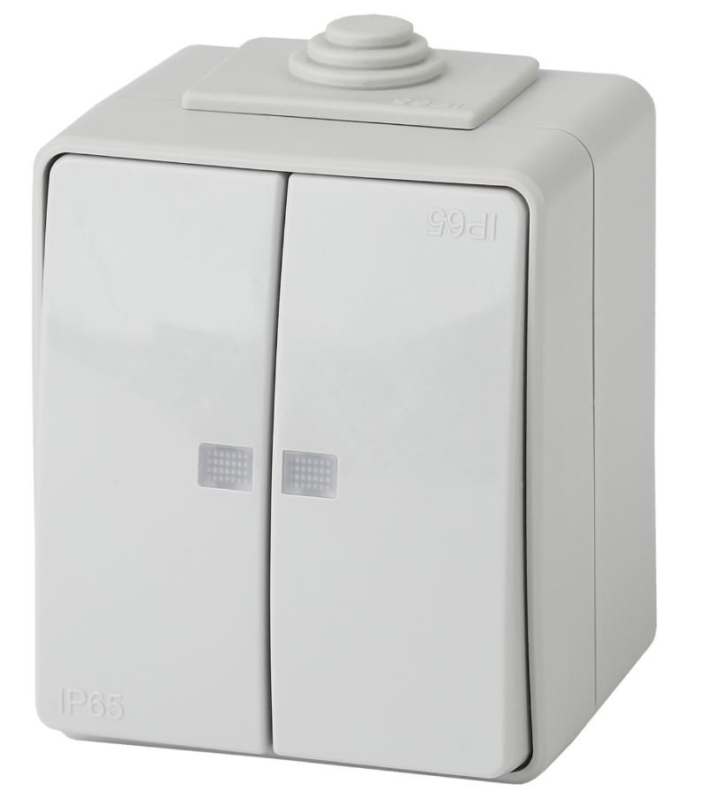 Выключатель 2-кл. ОУ Эксперт IP65 11-1605-03 250В 10АХ серый ЭРА (Б0035977)