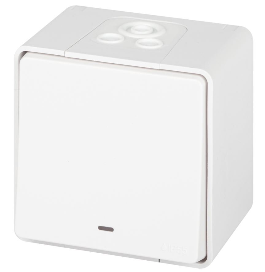 Выключатель 1-кл. ОУ Эксперт IP55 11-1502-01 250В 10АХ белый ЭРА (Б0063305)
