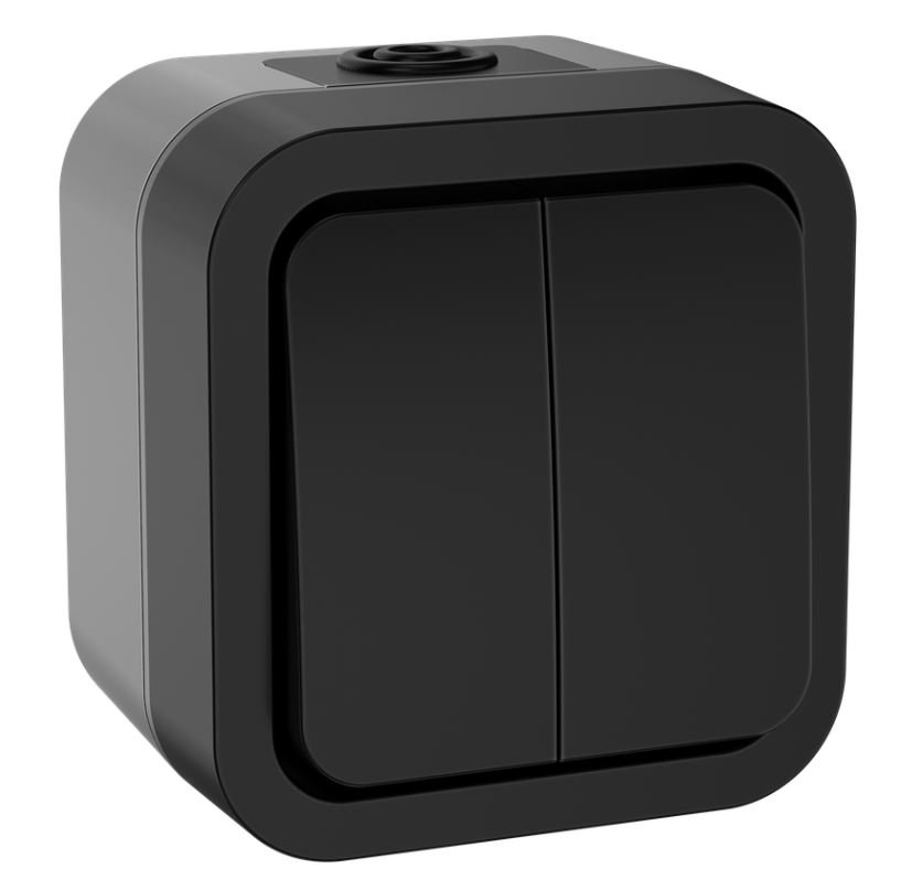 TORS Выключатель 2-клавишный TS105 открытой установки 10А IP55 графит (TS-V20-0-10-55-K53)