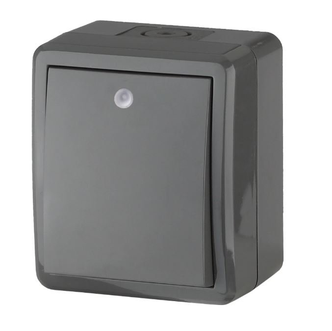 Выключатель 1-кл. ОУ Эксперт IP54 11-1402-03 250В 10АХ серый ЭРА (Б0020672)
