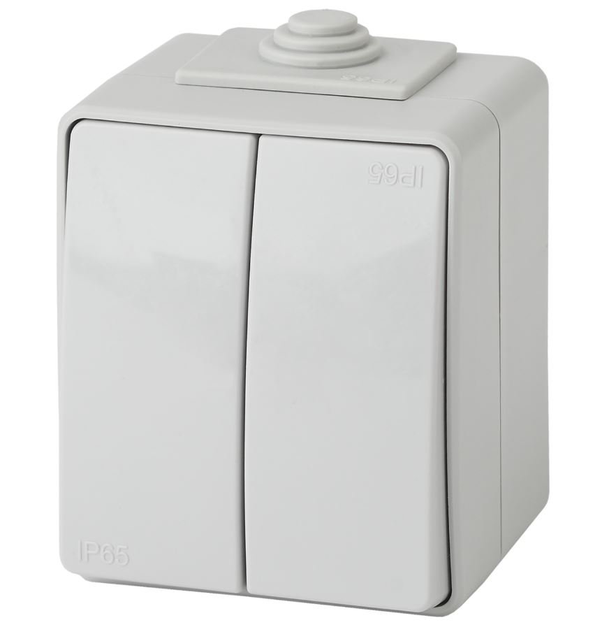 Переключатель 2-кл. ОУ Эксперт IP65 11-1606-03 250В 10АХ серый ЭРА (Б0035979)