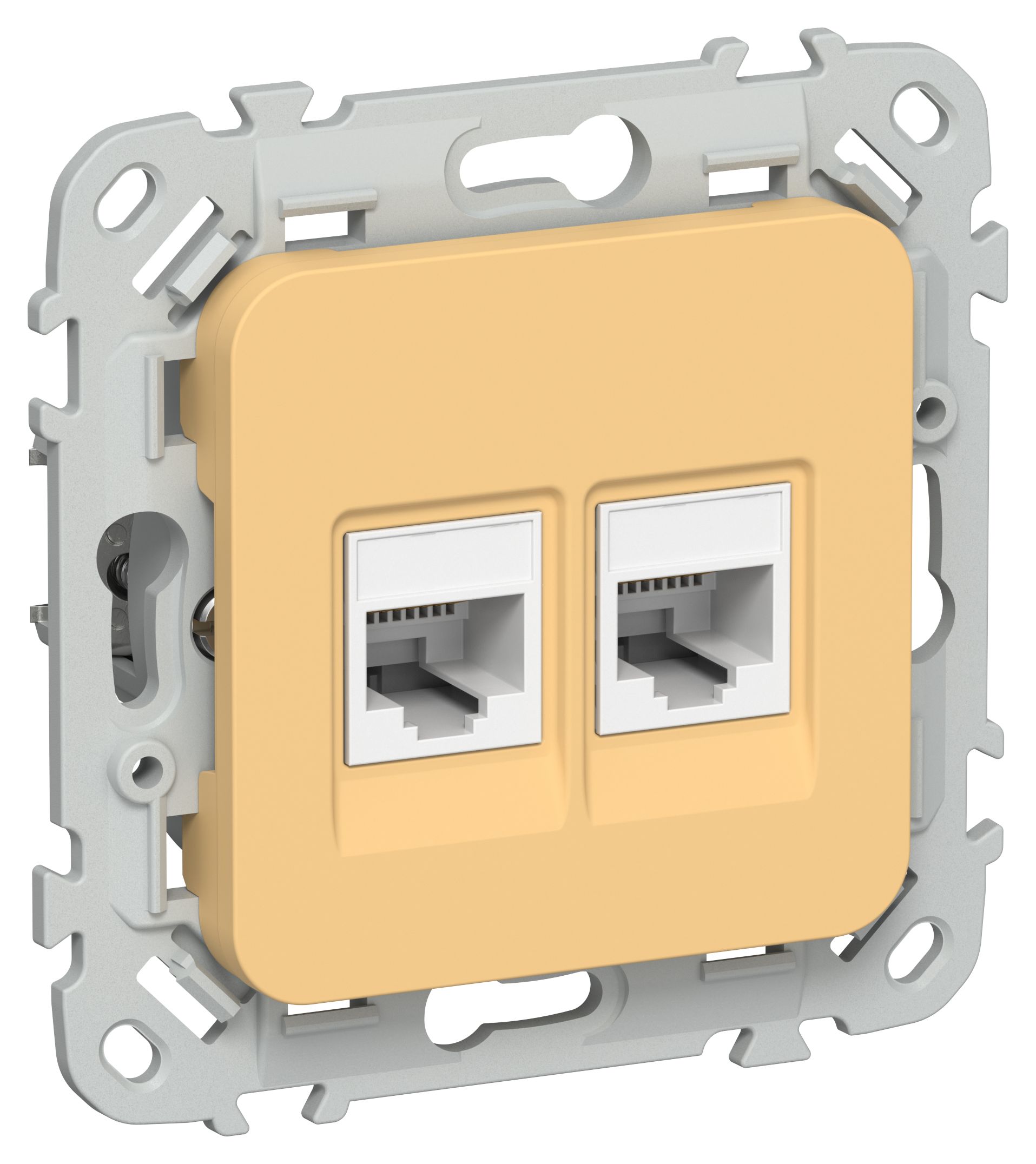 FLITE Розетка 2-местная RJ45/RJ11 кат 5Е/3 UTP РКТ5е/3-2-0-ФлЗ золотарник(FI-KT22-1-K90)