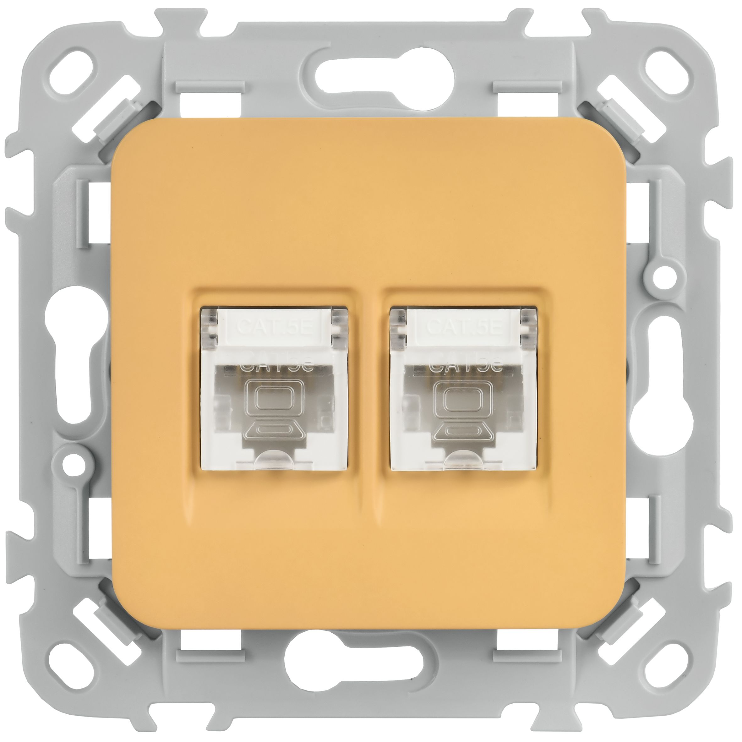 FLITE Розетка 2-местная компьютерная RJ45 кат 5Е UTP РК5е-2-0-ФлШм скрытой установки шамуа (FI-K22-1-K89)