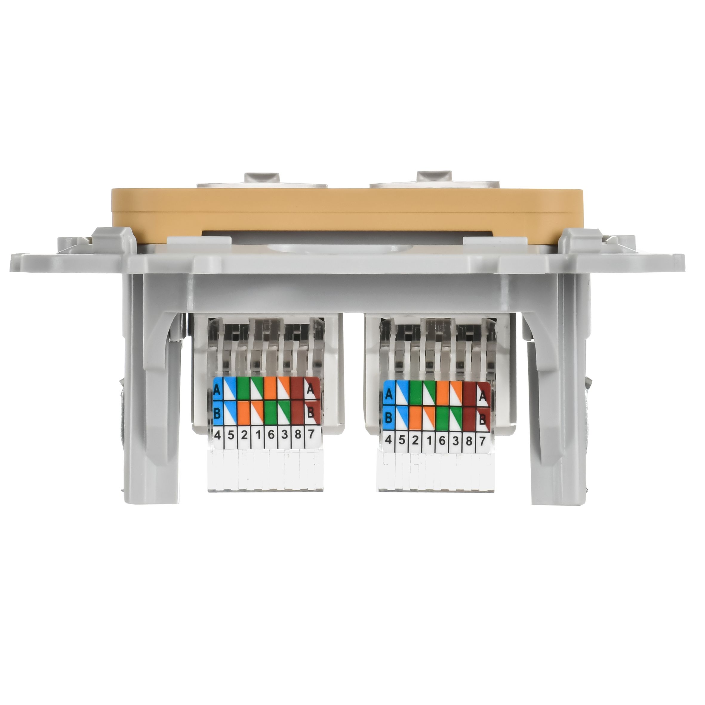 FLITE Розетка 2-местная компьютерная RJ45 кат 5Е UTP РК5е-2-0-ФлШм скрытой установки шамуа (FI-K22-1-K89)