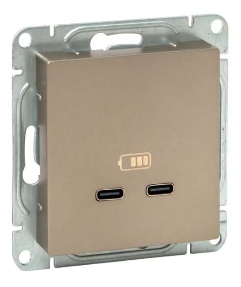 Механизм розетки USB-C - 2 шт, шампань Эпика (UP1-SOC-2USBC)