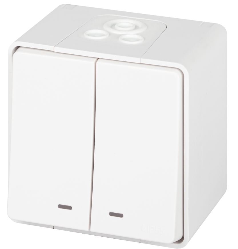 Выключатель 2-кл. ОУ Эксперт IP55 11-1505-01 250В 10АХ белый ЭРА (Б0063282)