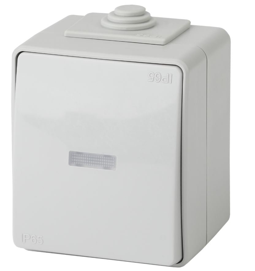 Переключатель 1-кл. ОУ Эксперт IP65 11-1610-03 250В 10АХ серый ЭРА (Б0035981)
