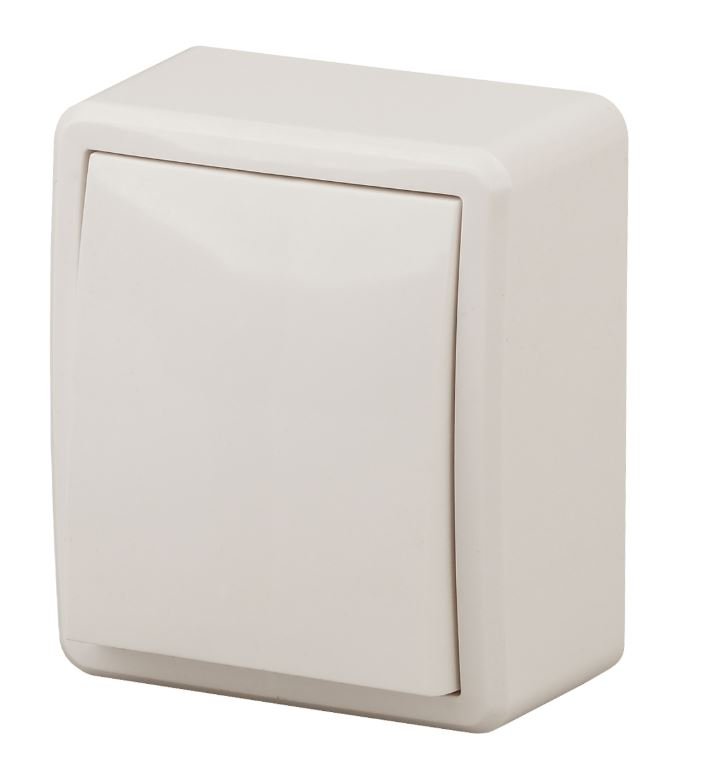 Переключатель 1-кл. ОУ Эксперт IP20 11-1203-02 250В 10АХ слоновая кость ЭРА (Б0020661)