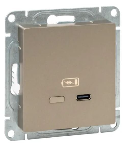 Механизм розетки USB-С, быстрая, шампань Эпика (UP1-SOC-USBCF)