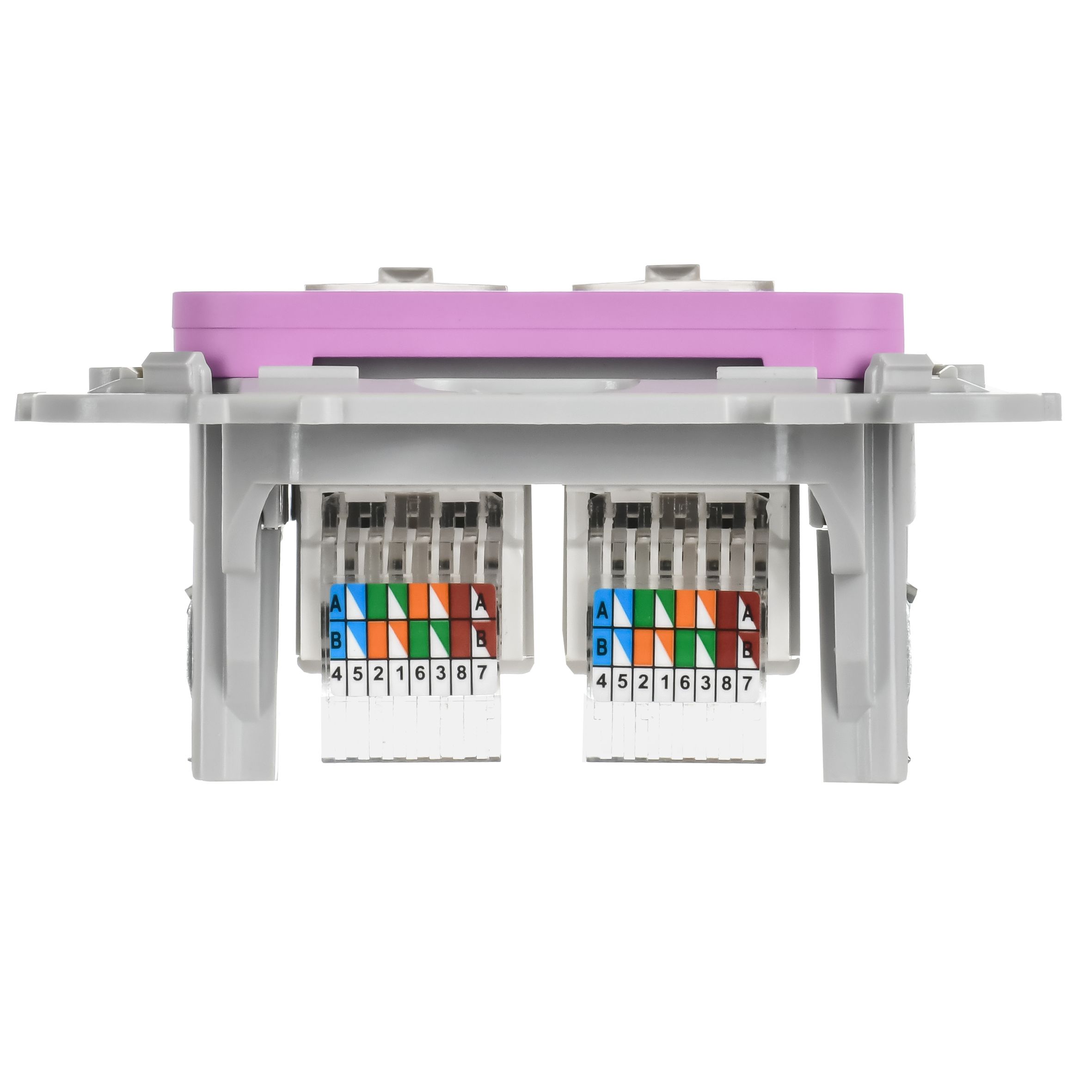 FLITE Розетка 2-местная компьютерная RJ45 кат 5Е UTP РК5е-2-0-ФлПр скрытой установки пурпурный (FI-K22-1-K99)