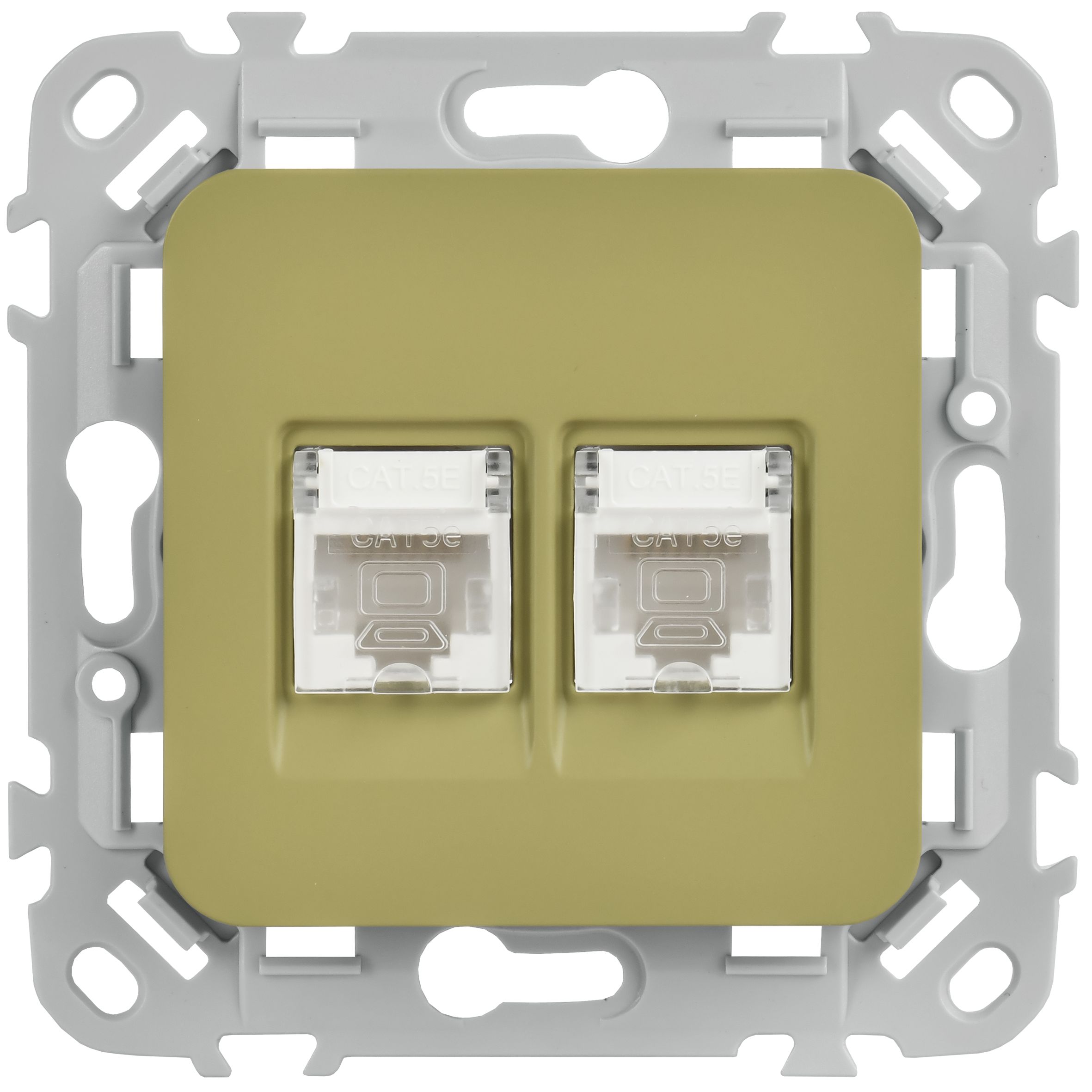 FLITE Розетка 2-местная компьютерная RJ45 кат 5Е UTP РК5е-2-0-ФлО скрытой установки оливковый (FI-K22-1-K26)