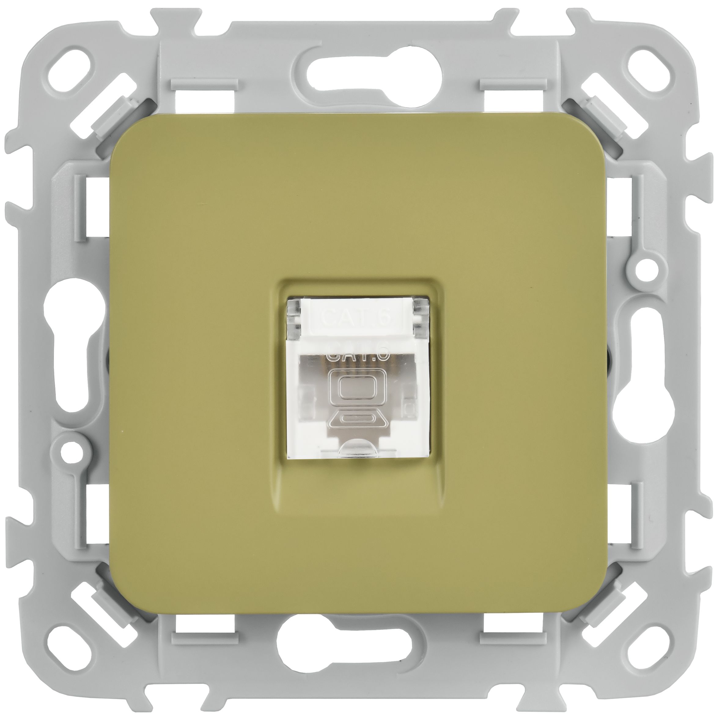 FLITE Розетка 2-местная компьютерная RJ45 кат 6 UTP РК6-2-0-ФлО скрытой установки оливковый (FI-K22-2-K26)
