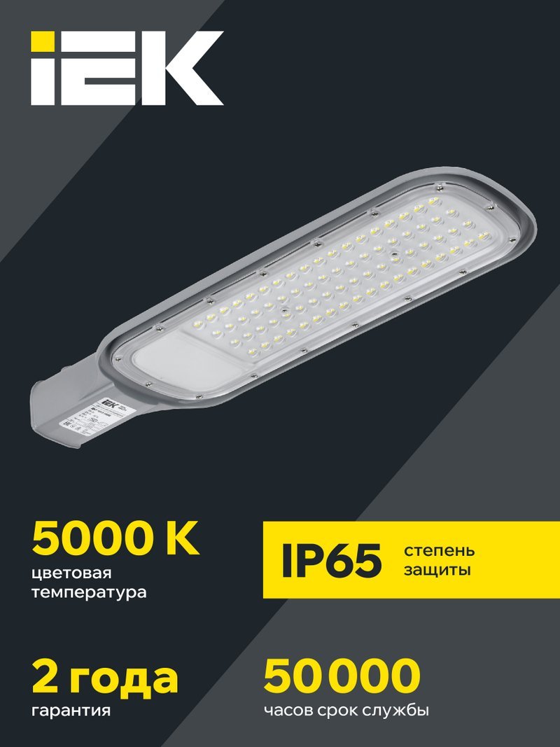 Светильник светодиодный консольный ДКУ 1012-100Ш 5000К IP65 серый (LDKU1-1012-100-5000-K03)