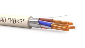 КПСЭнг(А)-FRLSLTx 2х2х1,0 (ИВКЗ)