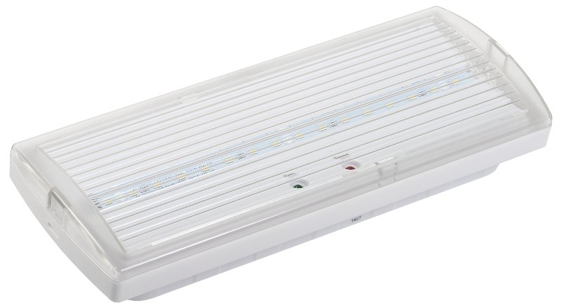 Светильник аварийный ДПА 5030-3 3ч IP20 LIGHTING (LDPA0-5030-3H-K01)