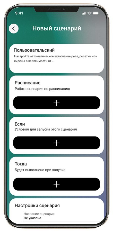 RiDom Старт